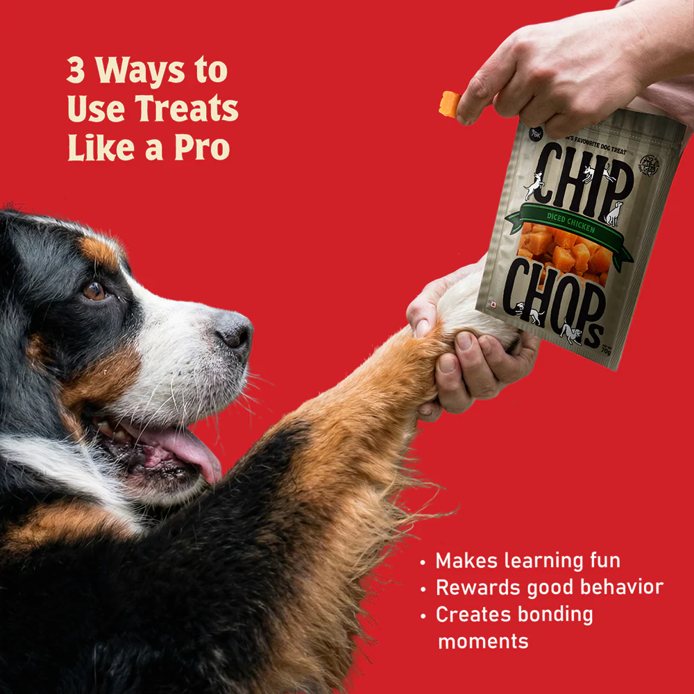 Chip Chops Diced Chicken Dog Treats - Image 5