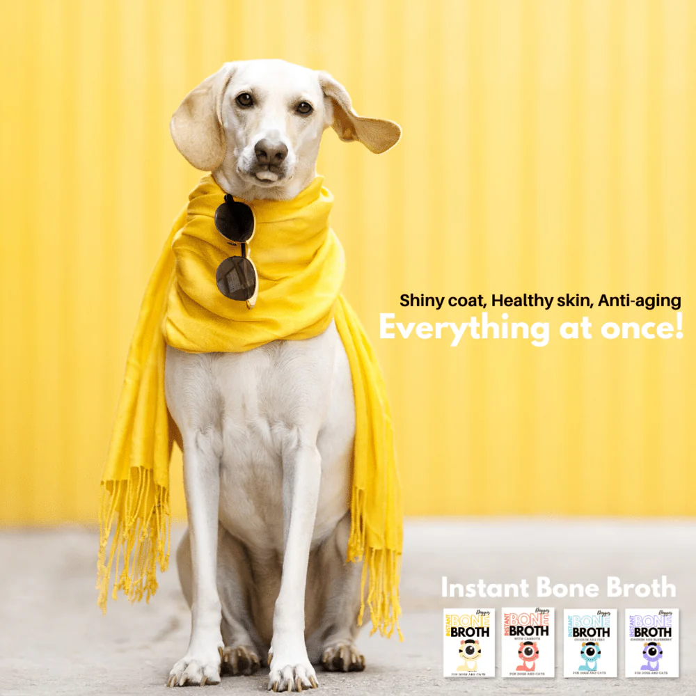 Doggos Instant Chicken Bone Broth for Dogs and Cats - Image 16