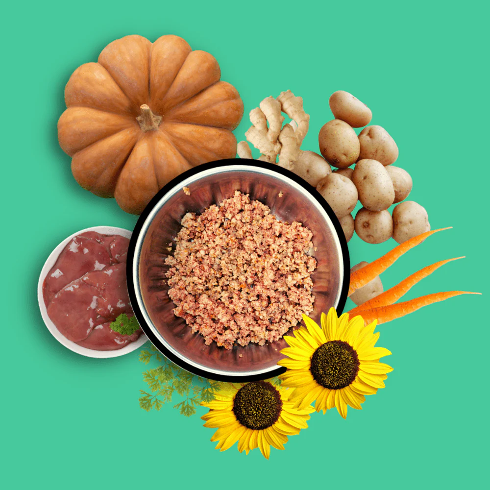 Doggos Mini Monster Chicken and Pumpkin Fresh Small Breeds Dog Wet Food - Image 10