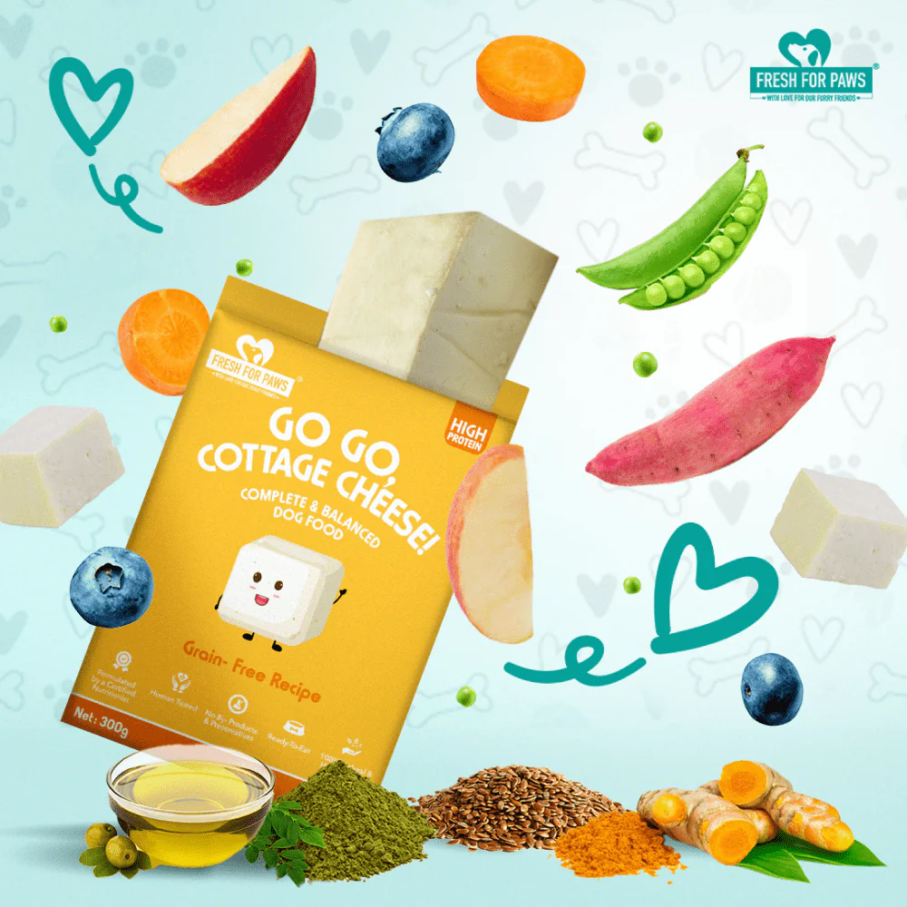 Fresh For Paws Go Go Cottage Cheese Dog Wet Food (100g) - Image 3