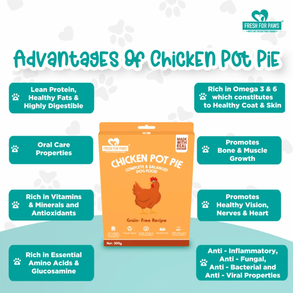 Fresh For Paws Chicken Pot Pie Wet Food for Dogs (100g) - Image 6