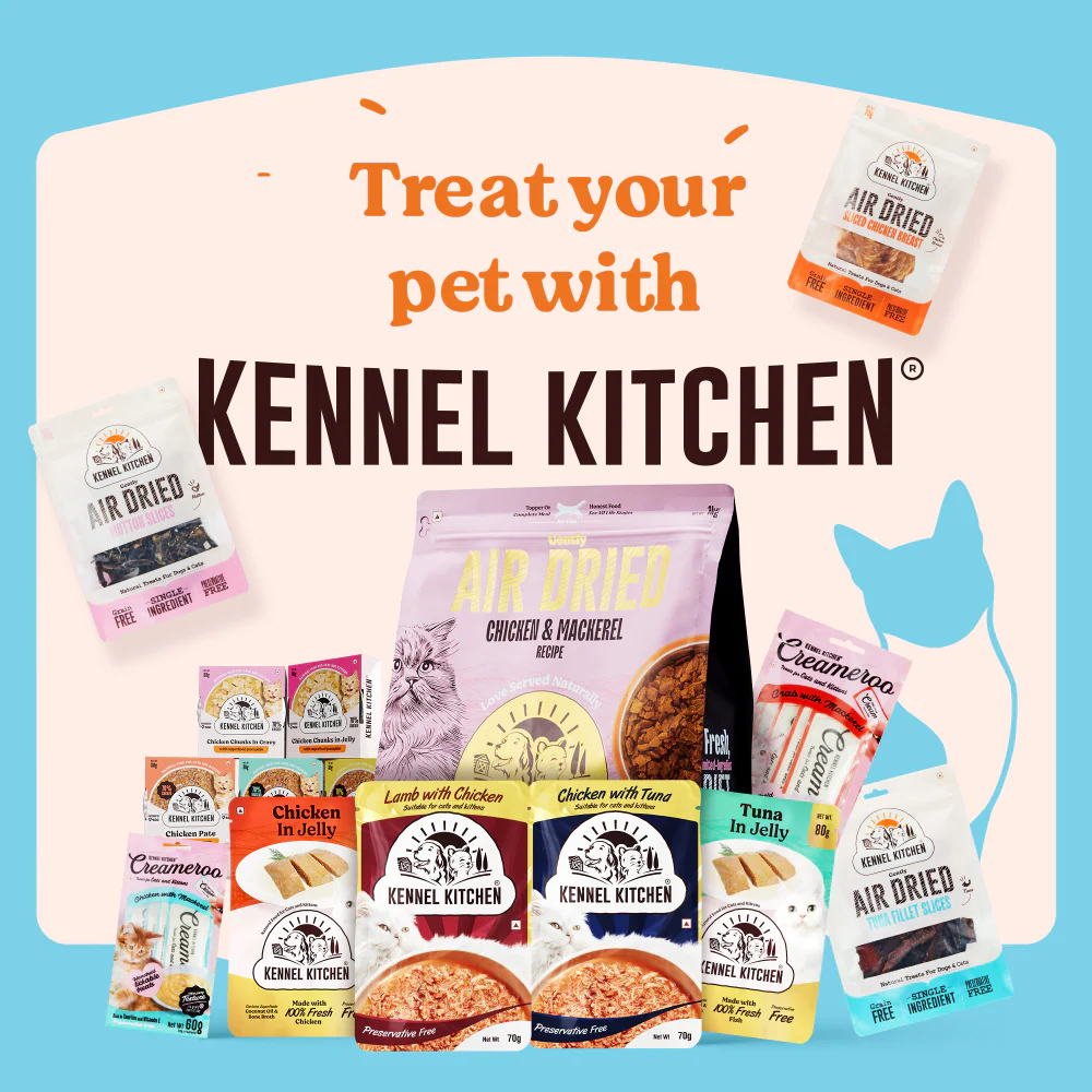 Kennel Kitchen Fish Chunks in Gravy Kitten and Creameroo Chicken with Mackerel Creamy Cat Treats Combo - Image 12