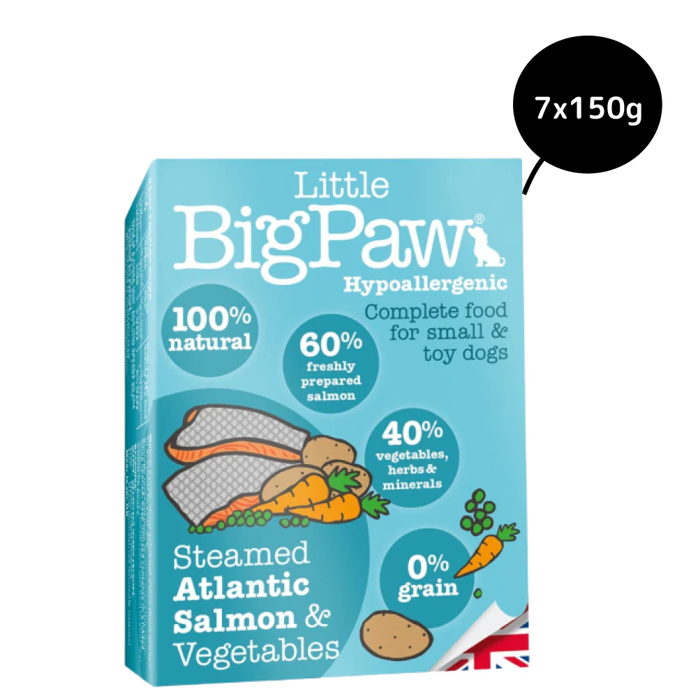 Little Big Paw Atlantic Salmon & Vegetables Terrine Dog Wet Food - Image 5