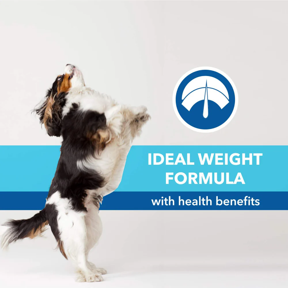 Purepet Chicken & Vegetable Puppy Dog Dry Food - Image 3