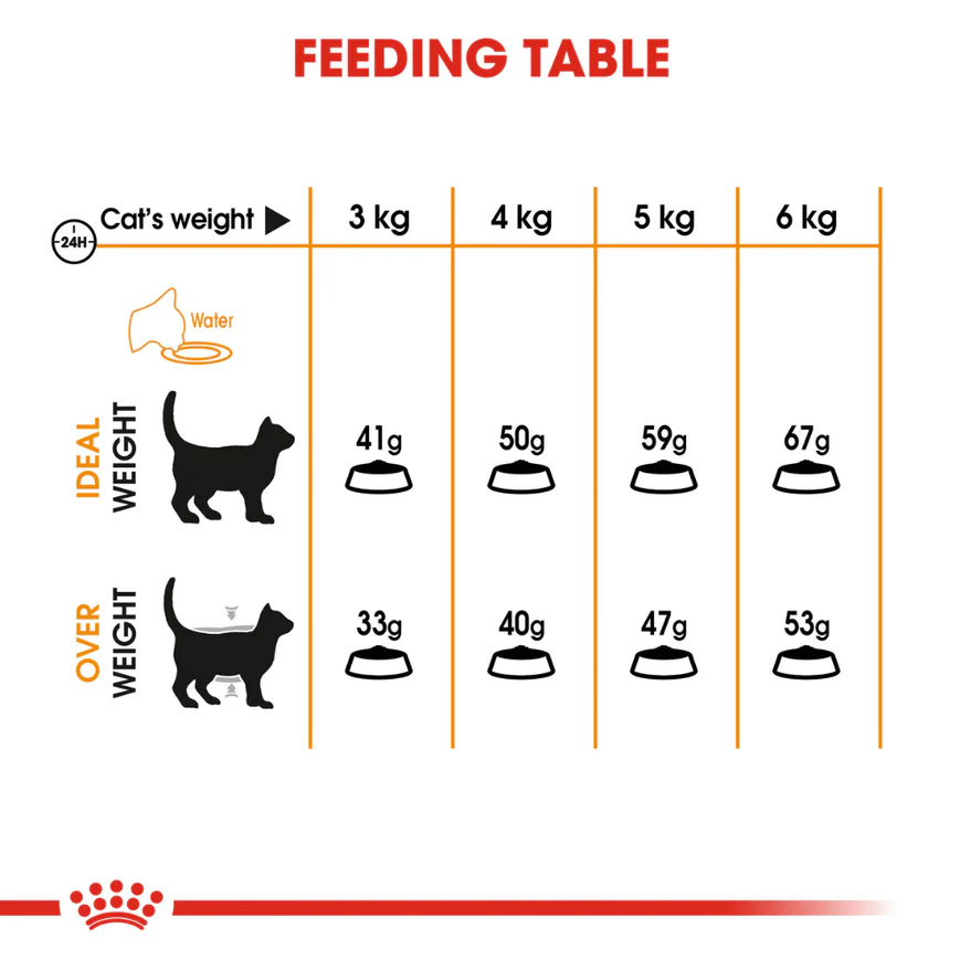 Royal Canin Skin & Hair Care for Adult Cats Dry Food - Image 4