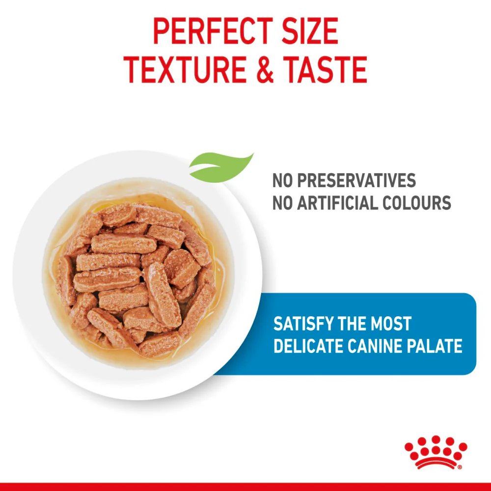 Royal Canin Medium Puppy Dog Wet Food - Image 3