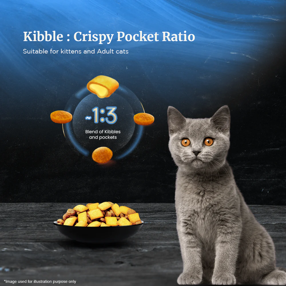 Sheba Chicken Loaf Rich Premium Adult Fine Wet Food and Salmon All Life Stage Cat Dry Food Combo - Image 13