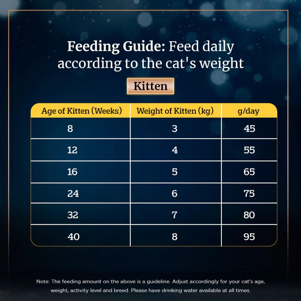 Sheba Chicken Loaf Rich Premium Adult Fine Wet Food and Salmon All Life Stage Cat Dry Food Combo - Image 15
