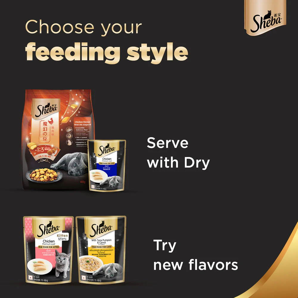 Sheba Chicken Loaf Rich Premium Adult Fine Wet Food and Salmon All Life Stage Cat Dry Food Combo - Image 7