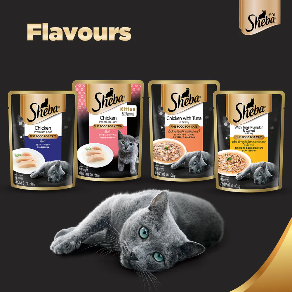 Sheba Chicken Loaf Rich Premium Adult Fine Wet Food and Salmon All Life Stage Cat Dry Food Combo - Image 9