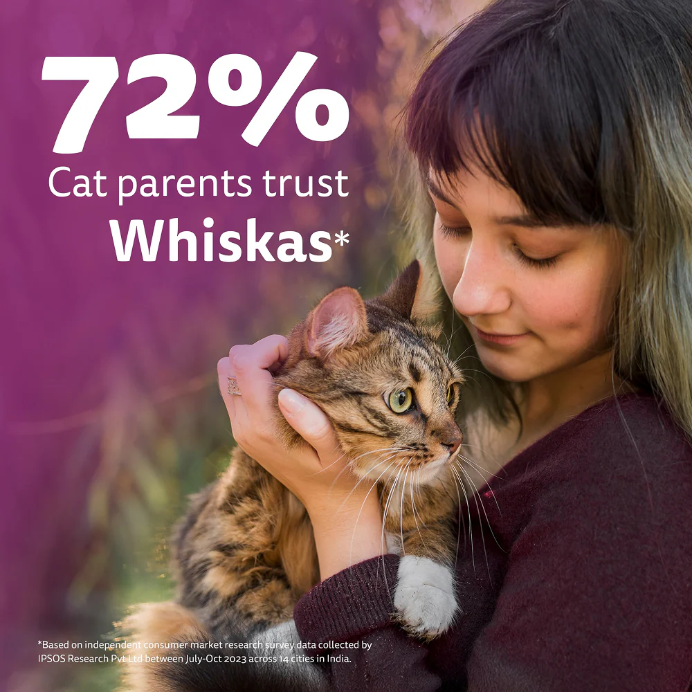 Whiskas Chicken Flavour Cat (Adult 1+) Dry Food - Image 12