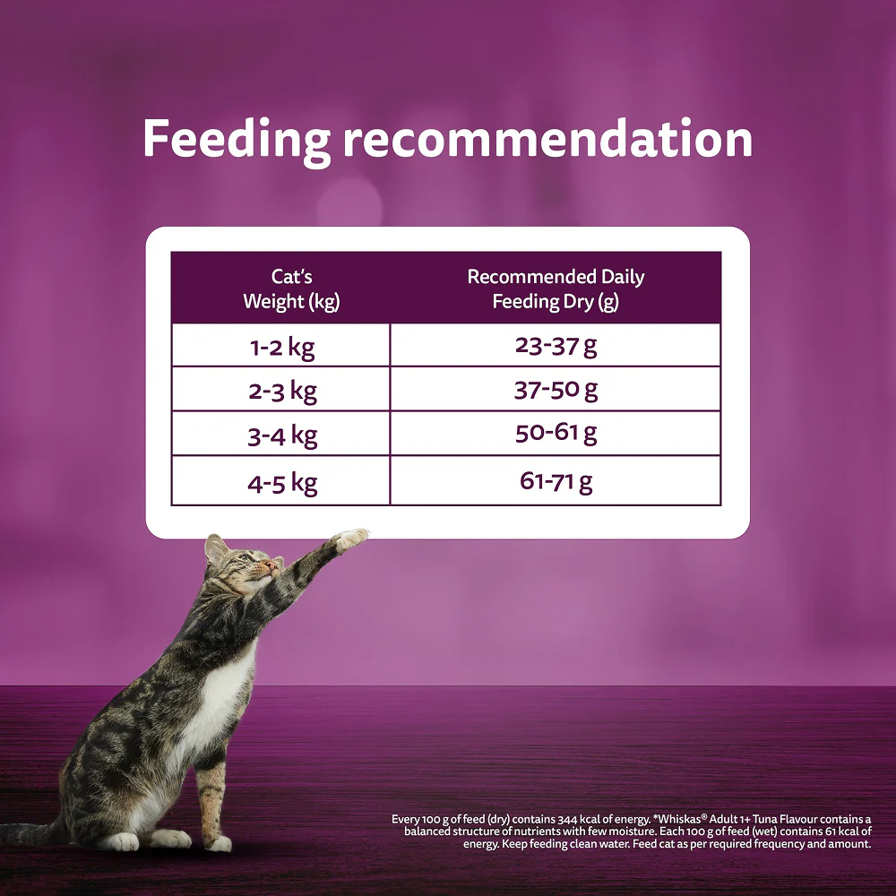Whiskas Chicken Flavour Cat (Adult 1+) Dry Food - Image 13