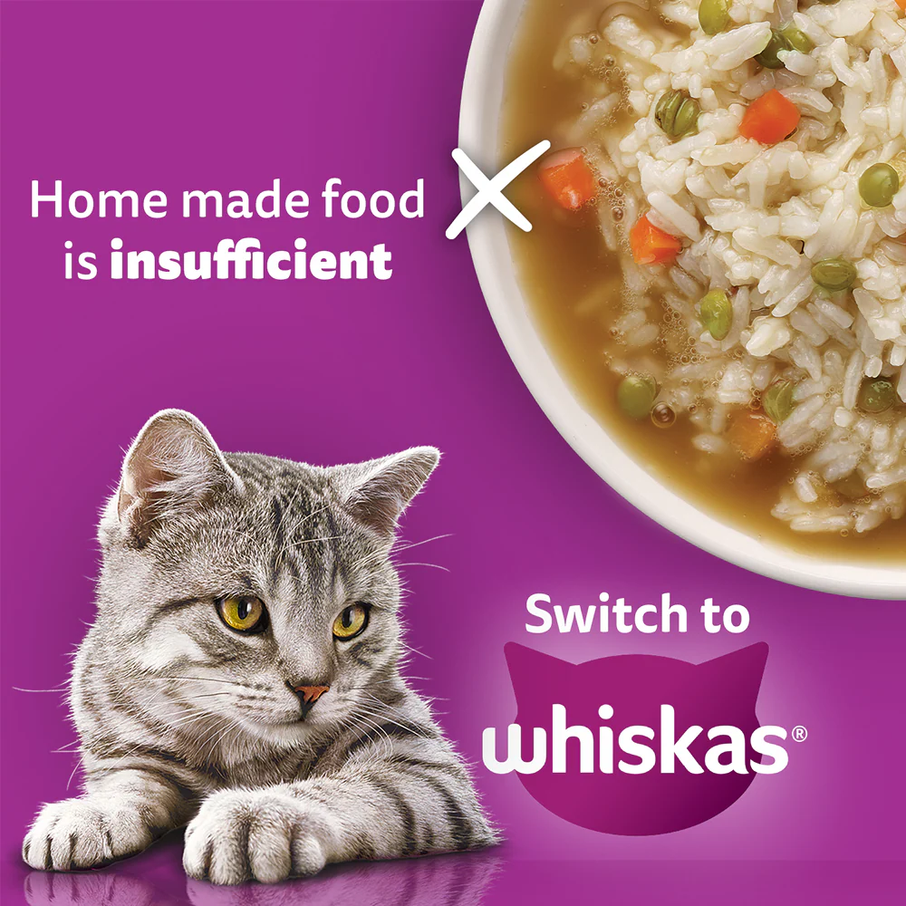 Whiskas Chicken Flavour Cat (Adult 1+) Dry Food - Image 4