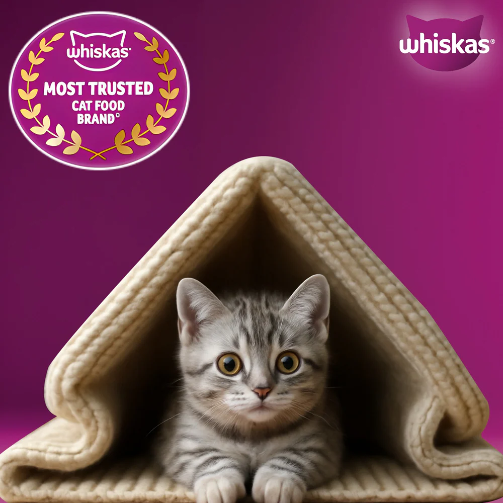 Whiskas Mackerel Flavour Kitten (2 to 12 months)Cat Dry Food - Image 10