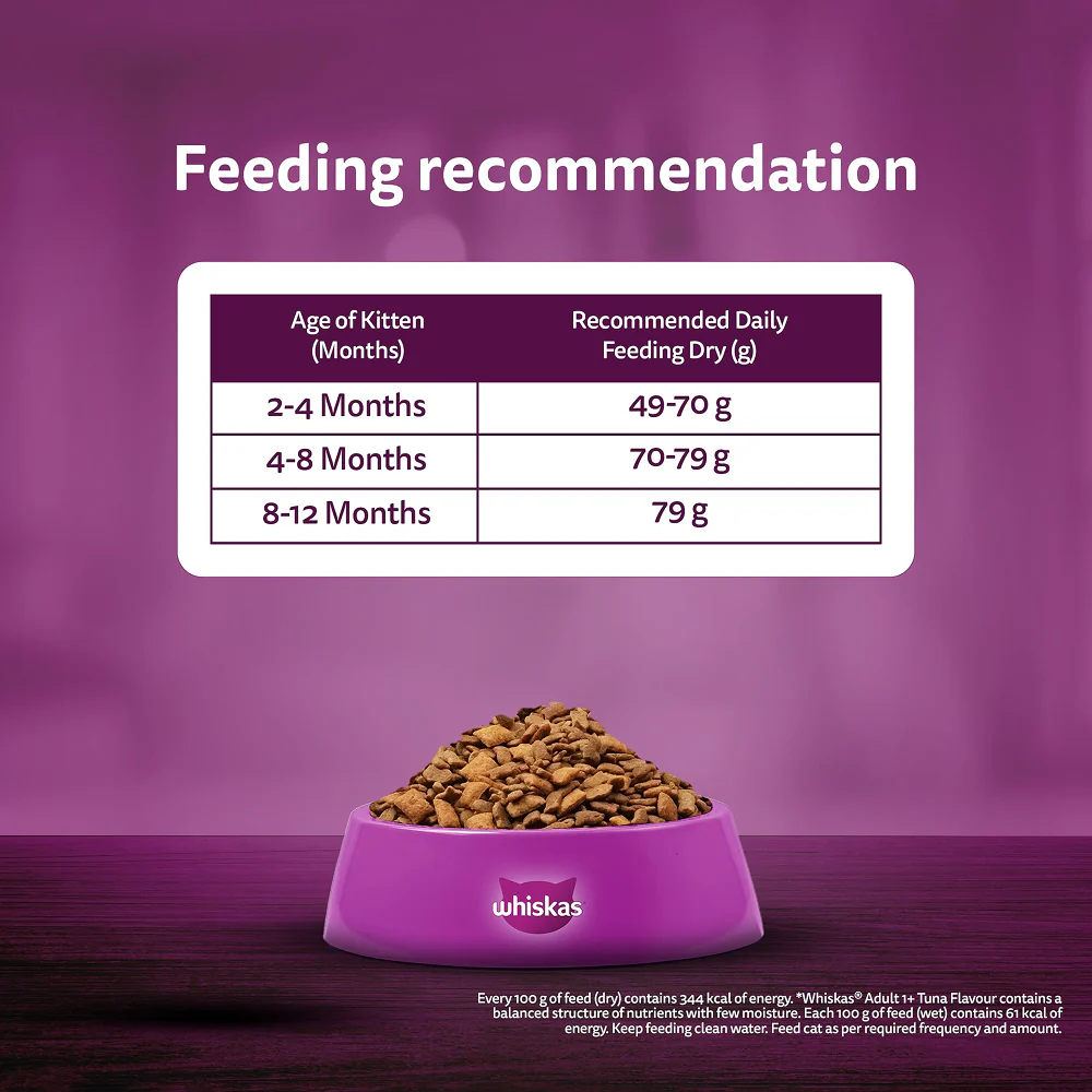 Whiskas Mackerel Flavour Kitten (2 to 12 months)Cat Dry Food - Image 12