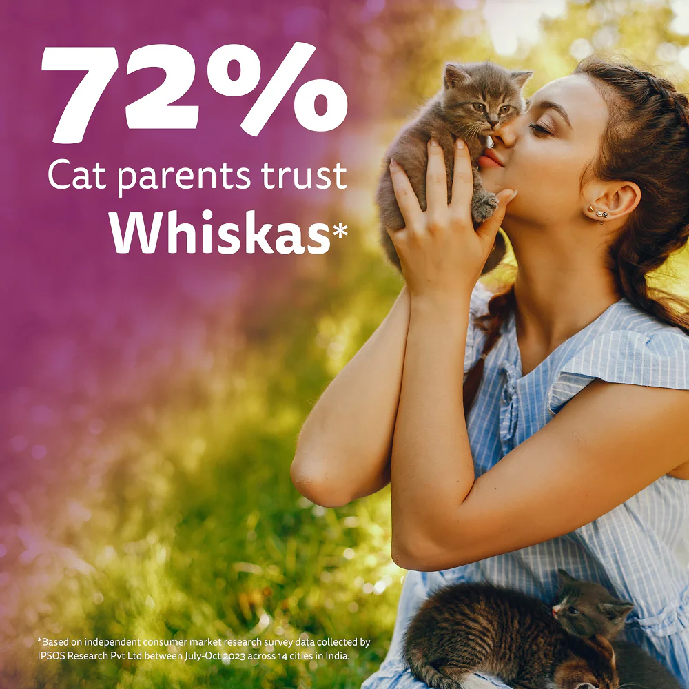 Whiskas Mackerel Flavour Kitten (2 to 12 months)Cat Dry Food - Image 13