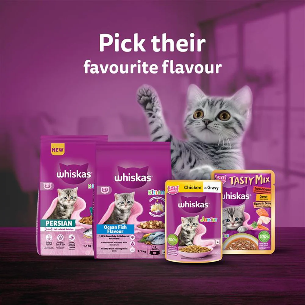 Whiskas Ocean Fish Kitten/Mother and Baby Cat Dry Food - Image 15