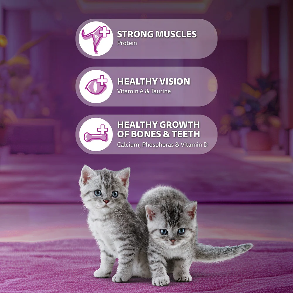 Whiskas Ocean Fish Kitten/Mother and Baby Cat Dry Food - Image 3