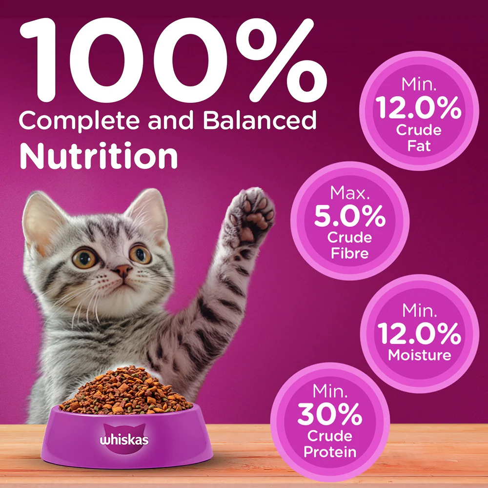 Whiskas Ocean Fish Kitten/Mother and Baby Cat Dry Food - Image 8