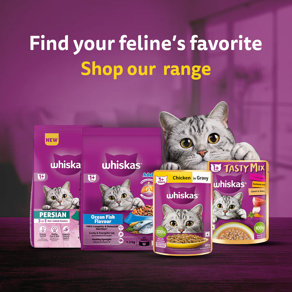 Whiskas Tuna Flavour Adult Cat Dry Food - Image 15