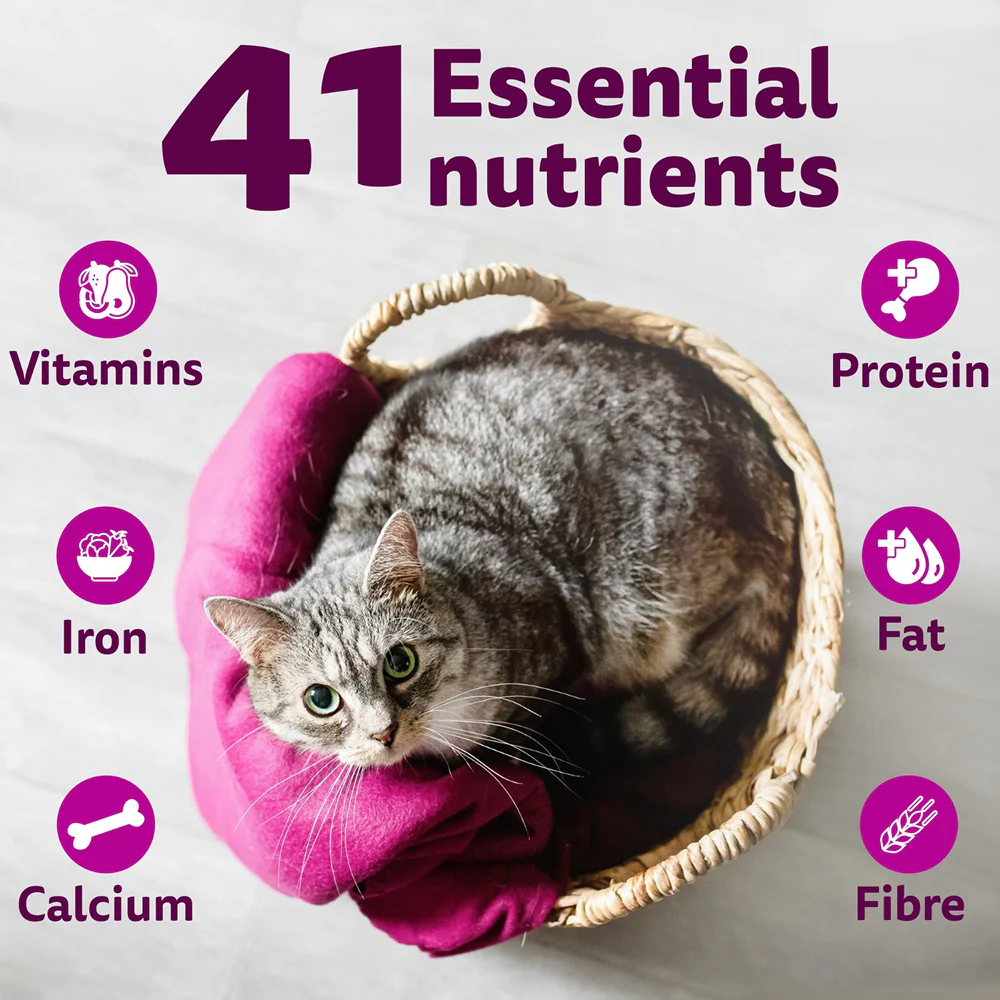 Whiskas Tuna Flavour Adult Cat Dry Food - Image 5