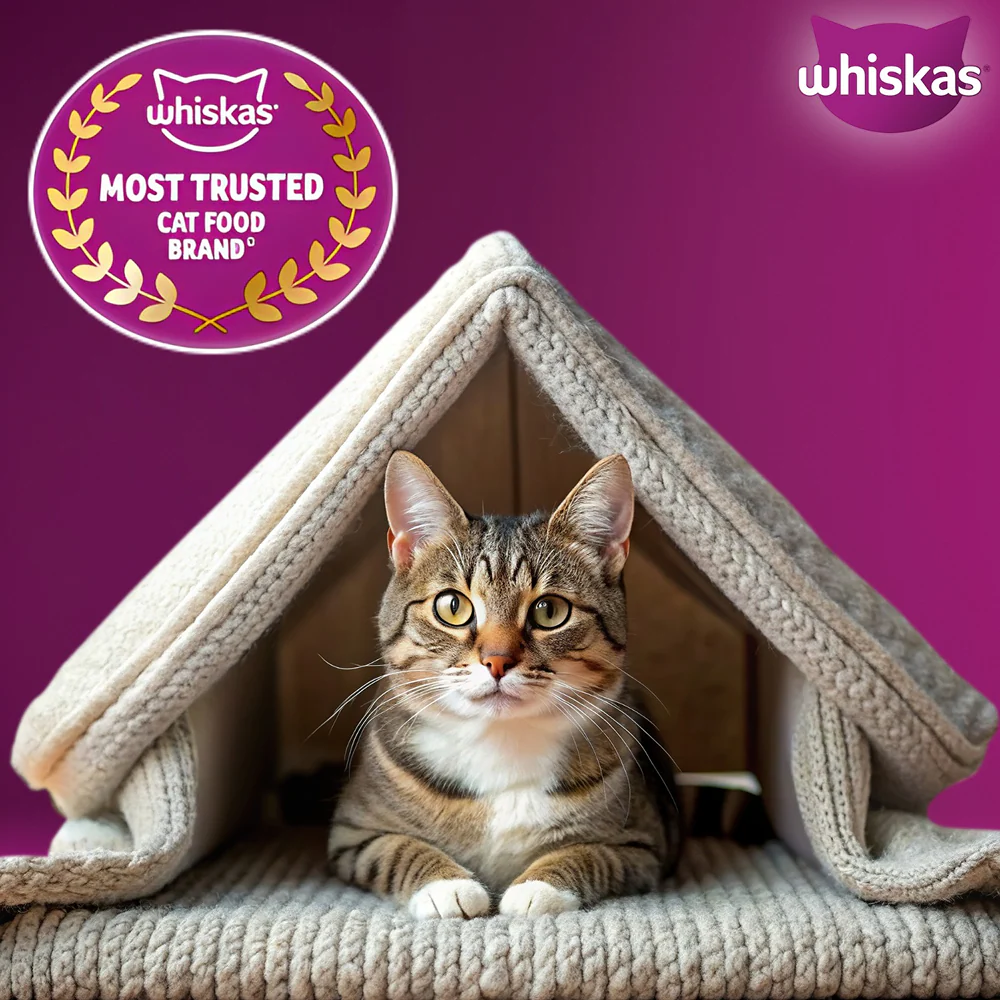 Whiskas Tuna Flavour Adult Cat Dry Food - Image 8